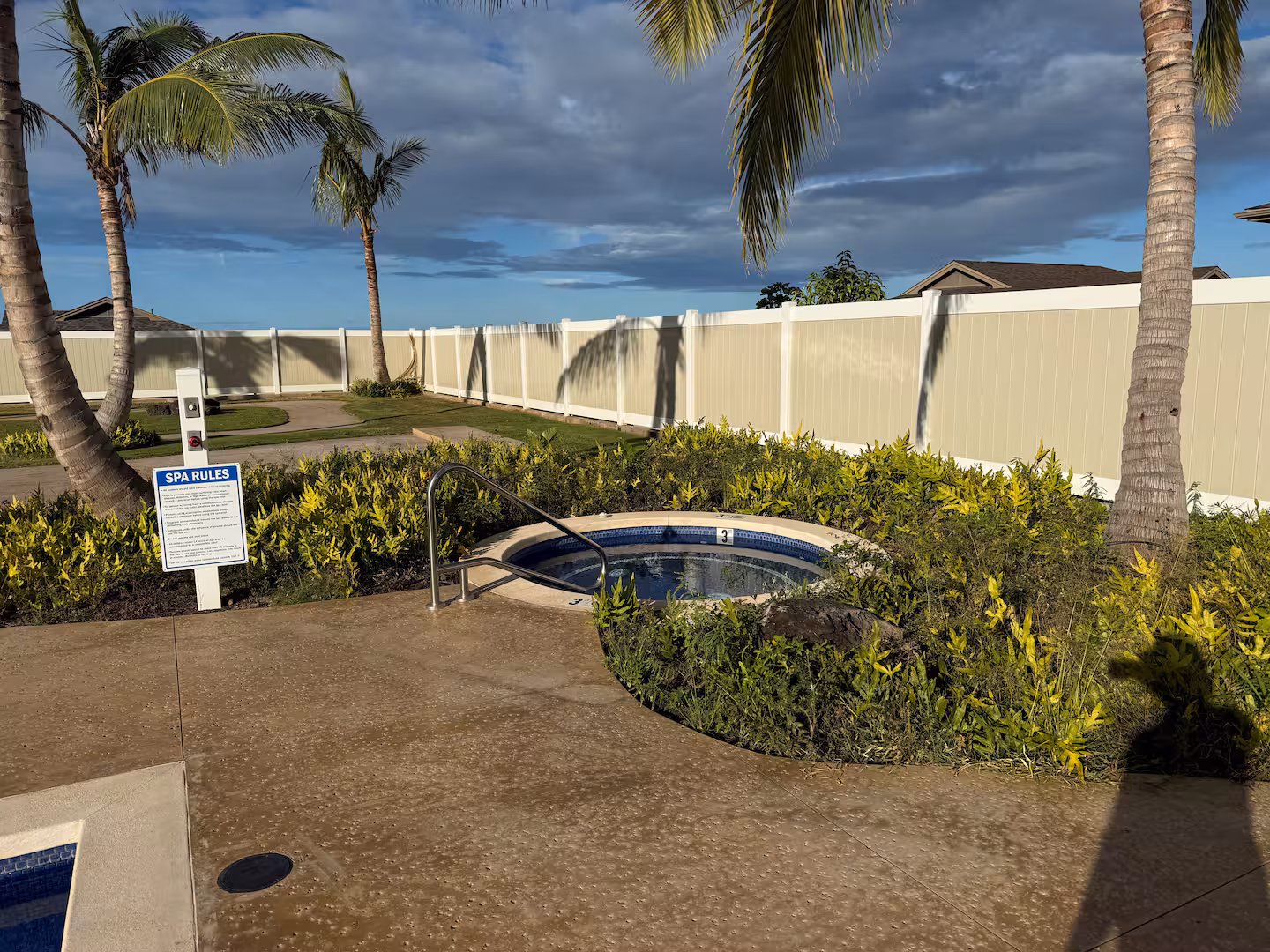 The community hot tub set into a landscaped deck with palm trees overhead
