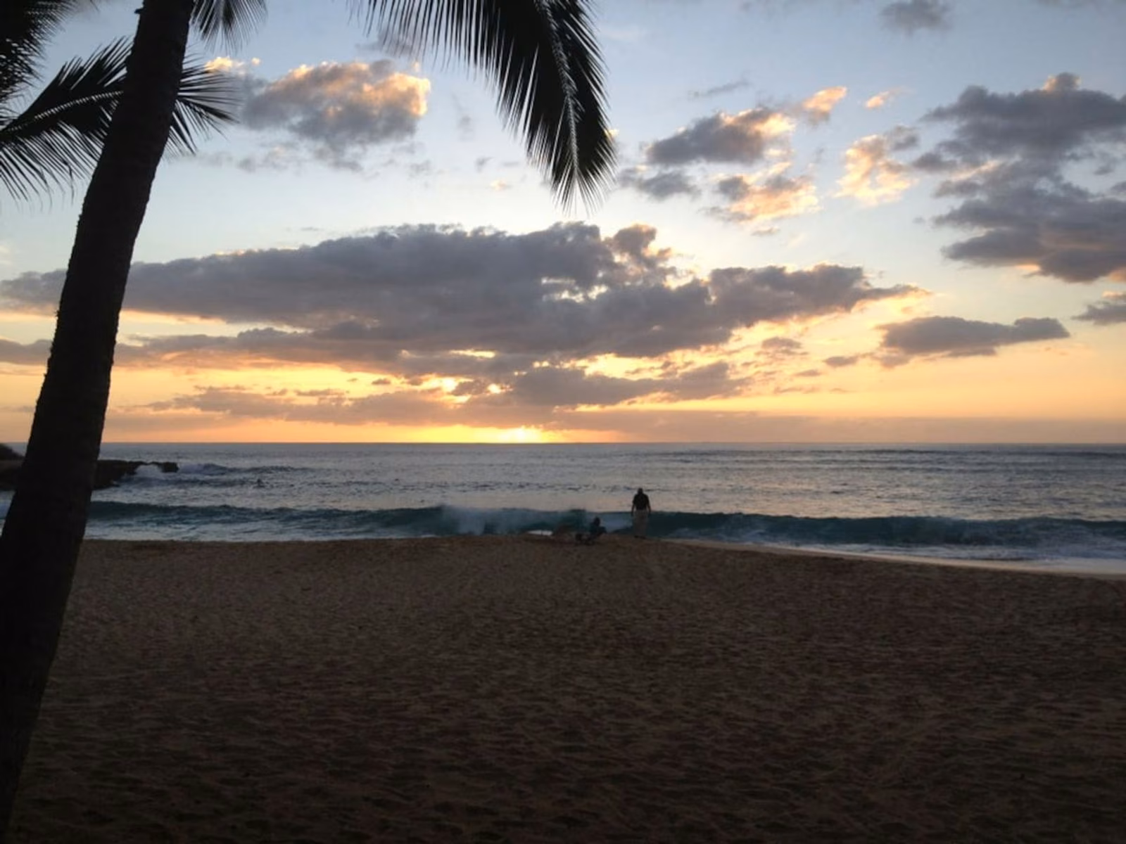 Sunset behind a palm tree with a wave breaking on the beach in the foreground